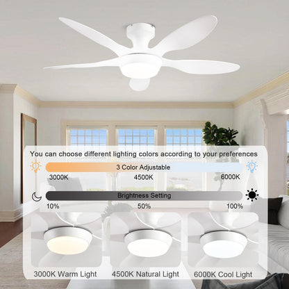 Ceiling Fan Gg-72