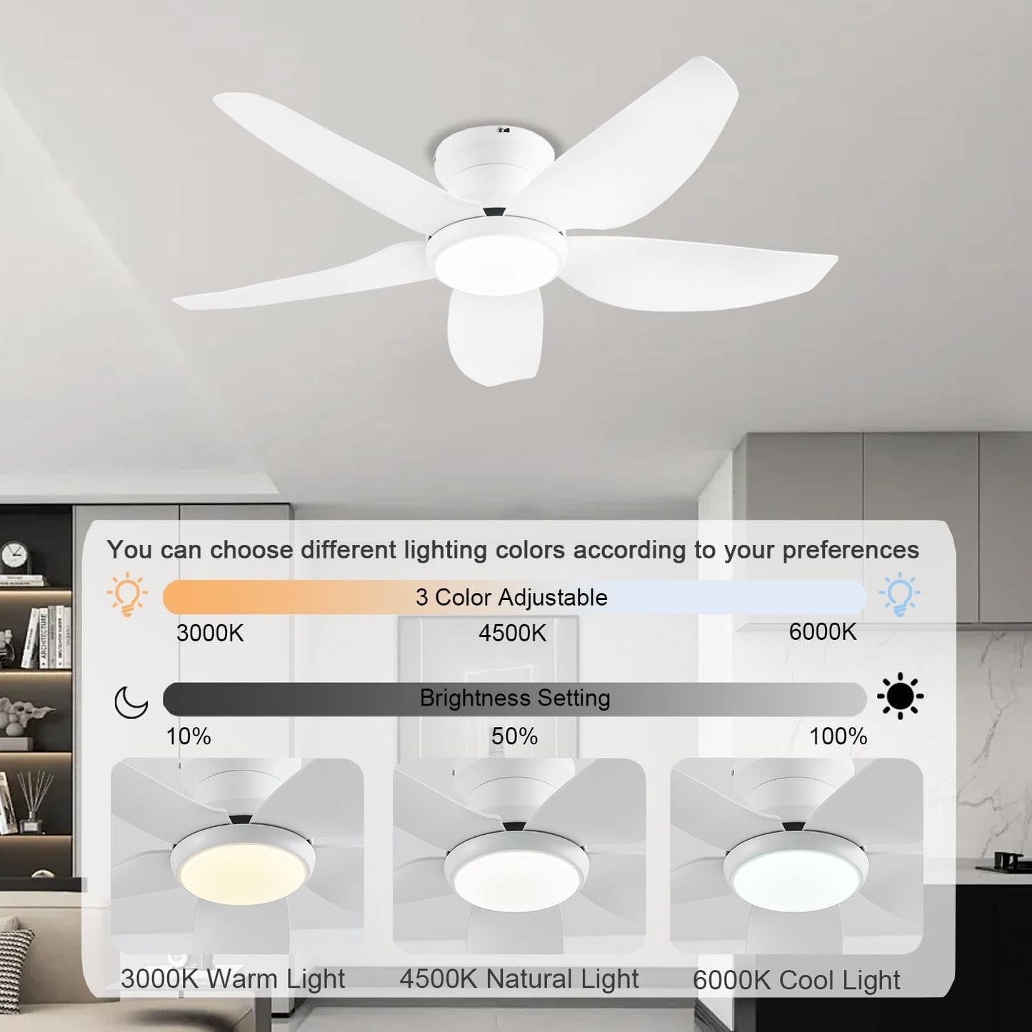 Ceiling Fan GJ-55