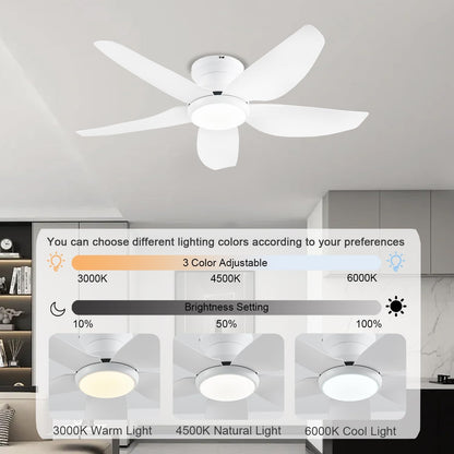 Ceiling Fan GJ-55