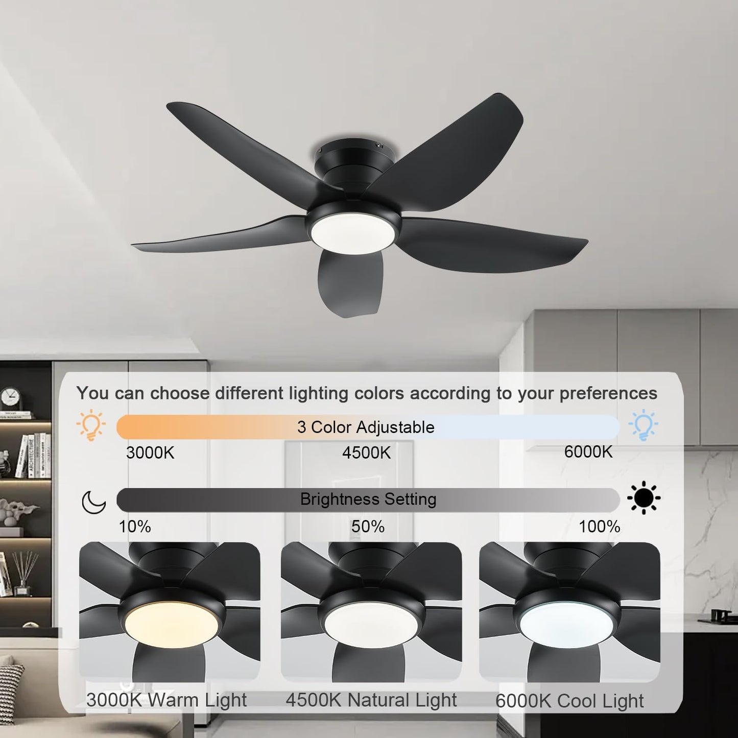 Ceiling Fan GJ-55