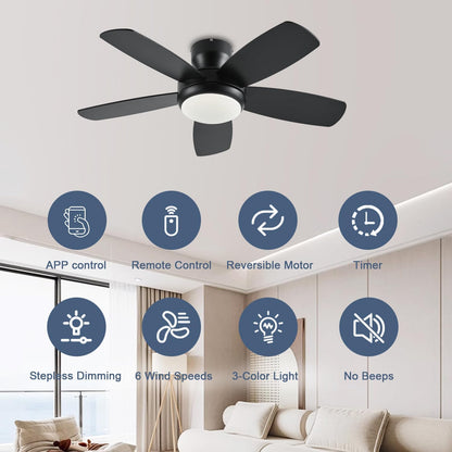Ceiling Fan SY56