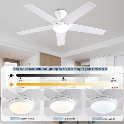 Ceiling Fan 78-48