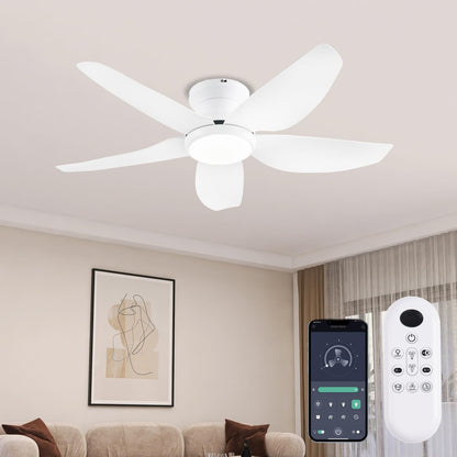 Ceiling Fan GJ-55