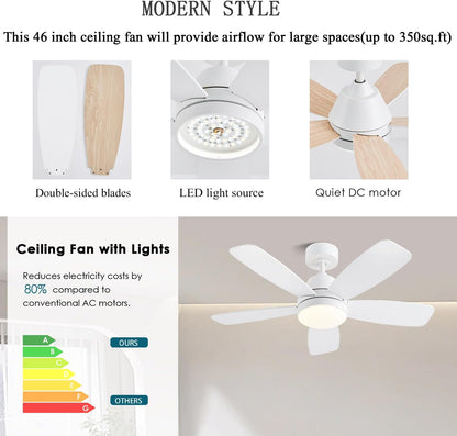 Ceiling Fans with Lights, Low Profile Indoor/Outdoor Use 42 Inch