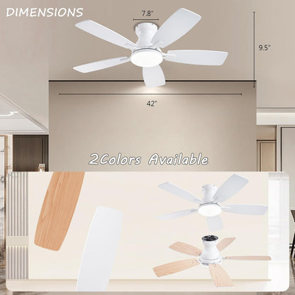 Ceiling Fan JL-66