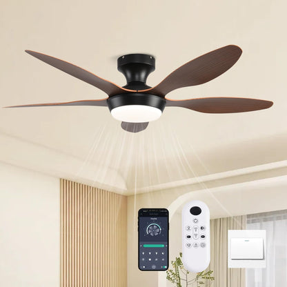 Ceiling Fan Gg-72