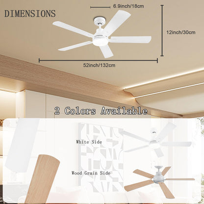 Ceiling Fan JL-53