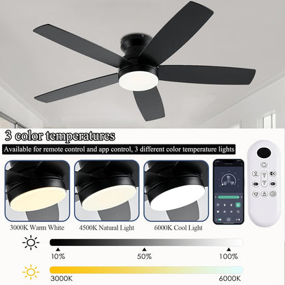 Ceiling Fan SY69