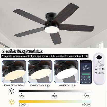 Ceiling Fan SY69