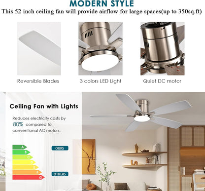 Ceiling Fan 38-52