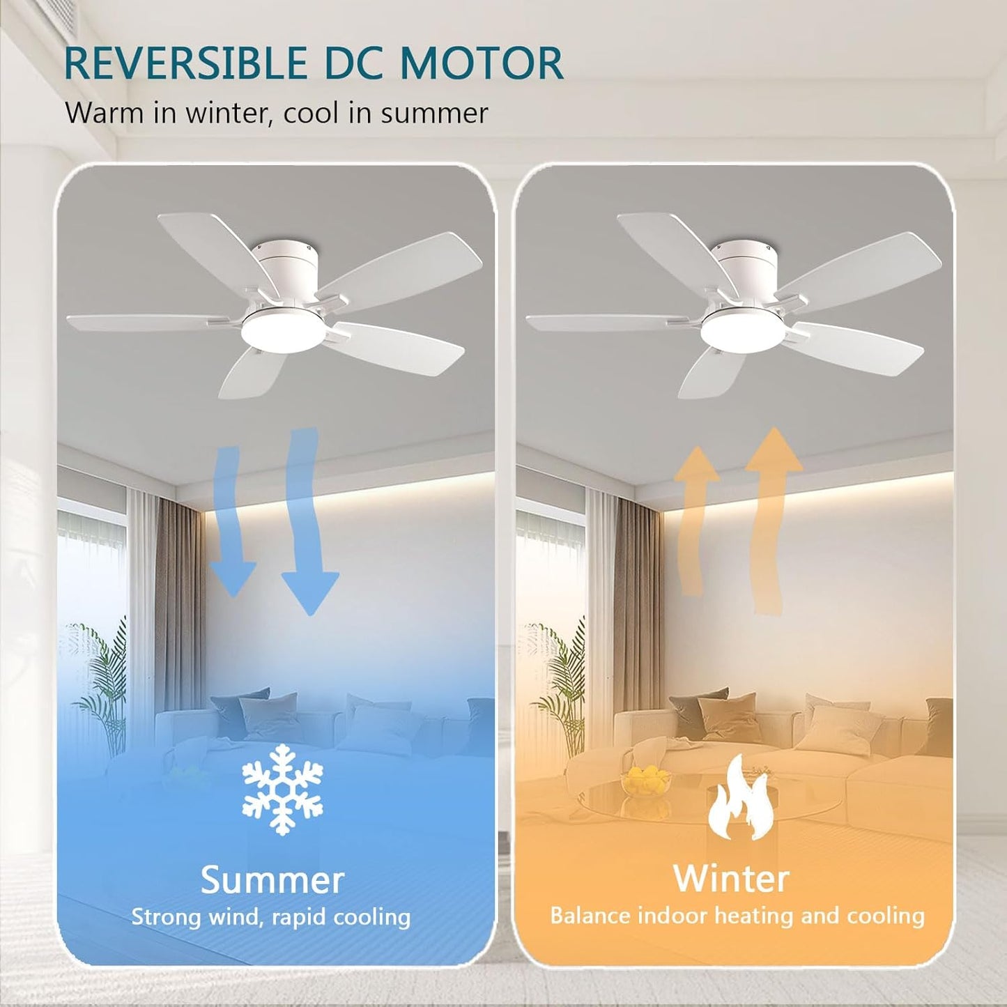 Ceiling Fan 38-52
