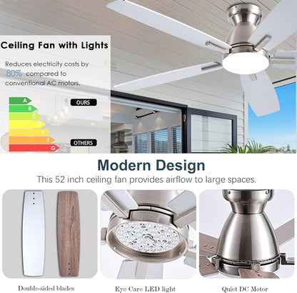 Ceiling Fan SY75