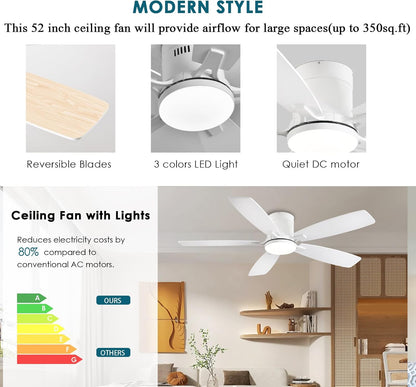Ceiling Fan 38-52