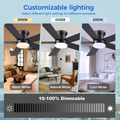 Ceiling Fans with Lights - 48" Black Flush Mount Ceiling Fan Light with 6 Speeds 3CCT Dimmable, Revesible Motor, Low Profile Fan Light for Modern Indoor Bedroom, Kitchen