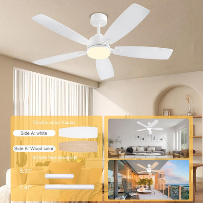 Ceiling Fan SY54