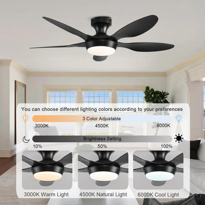Ceiling Fan Gg-72