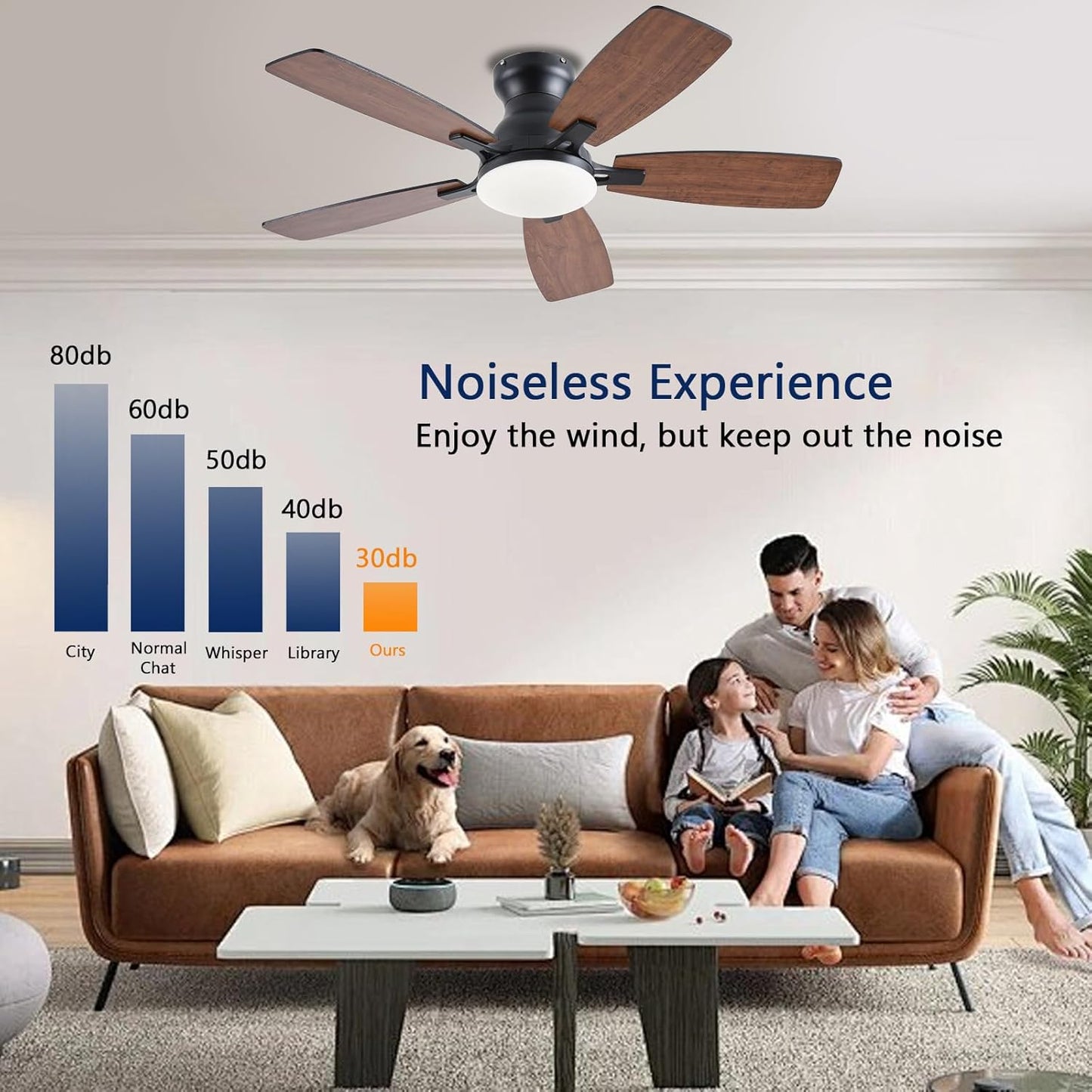 Ceiling Fan JL-66