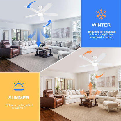 Ceiling Fan SY54