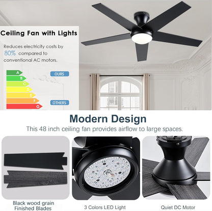 Ceiling Fan 78-48