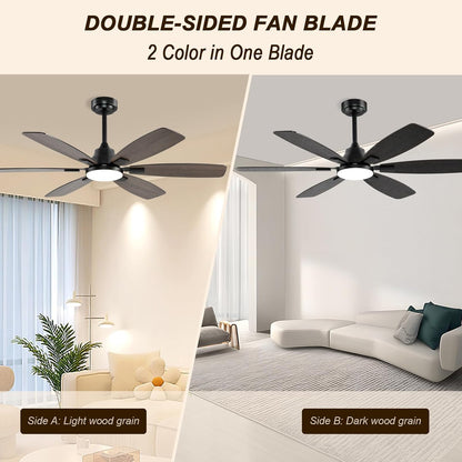 Ceiling Fan SY-86