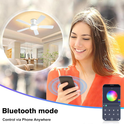 Ceiling Fan SY-62