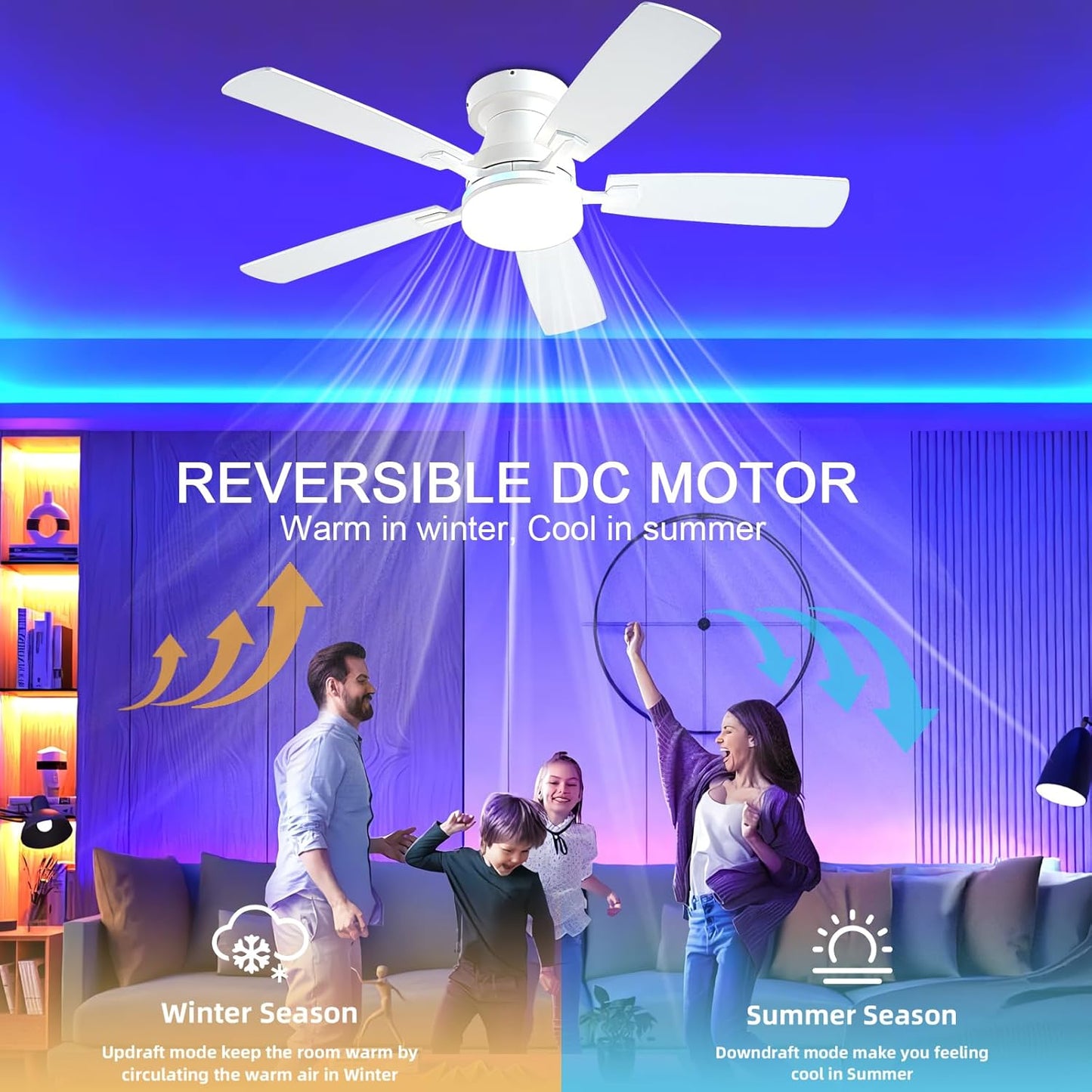 Ceiling Fan SY-62