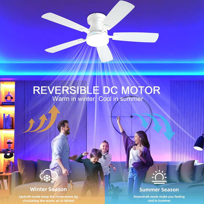 Ceiling Fan SY-62