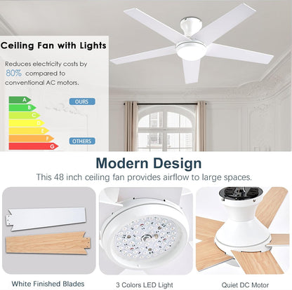 Ceiling Fan 78-48
