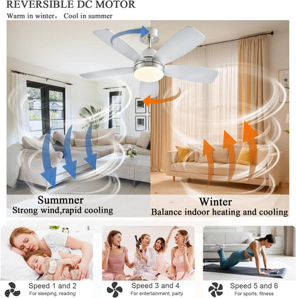 Ceiling Fans with Lights, Low Profile Indoor/Outdoor Use 42 Inch