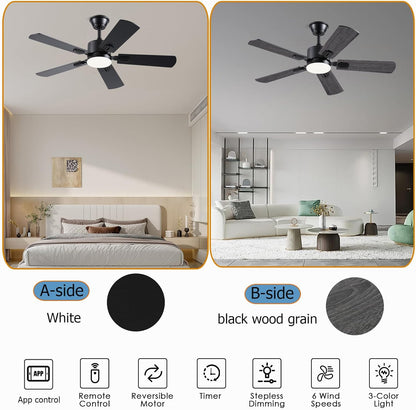 Ceiling Fan SY39