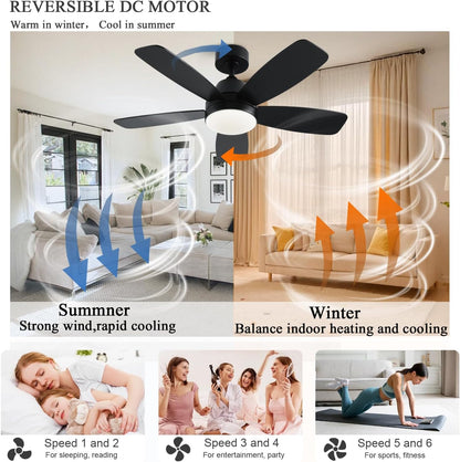 Ceiling Fans with Lights, Low Profile Indoor/Outdoor Use 42 Inch