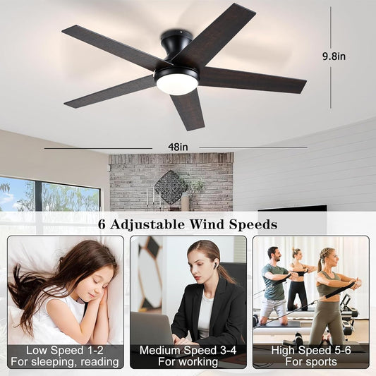 Ceiling Fan 78-48