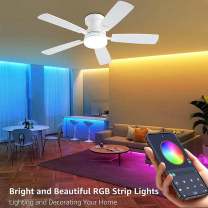 Ceiling Fan SY-62