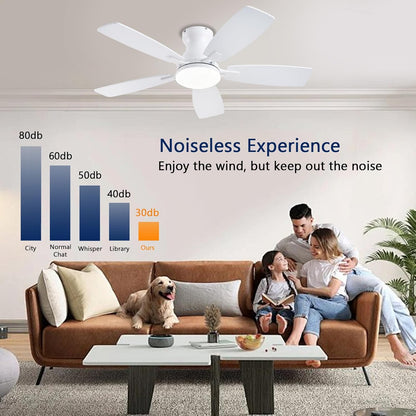 Ceiling Fan JL-66