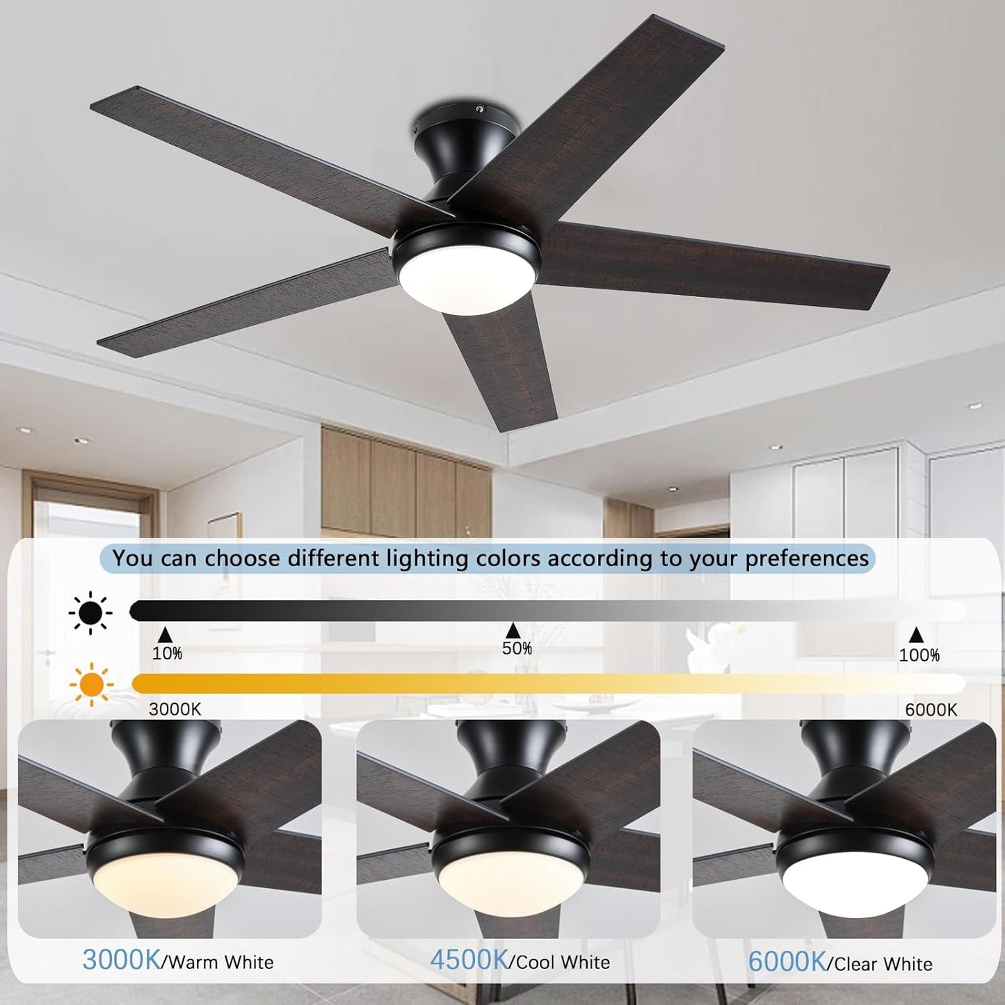 Ceiling Fan 78-48