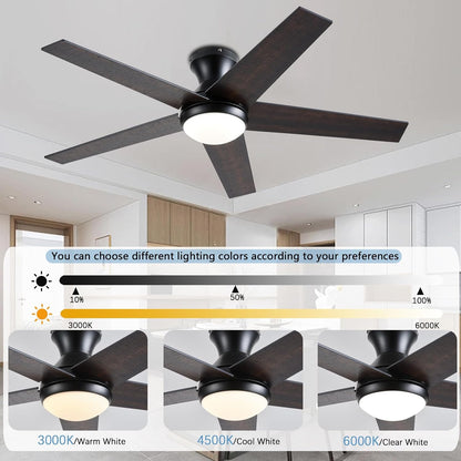 Ceiling Fan 78-48