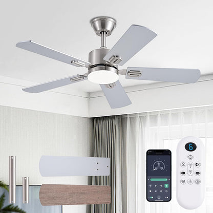 Ceiling Fan SY39
