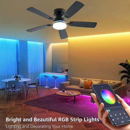Ceiling Fan SY-62