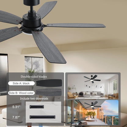 Ceiling Fan SY54