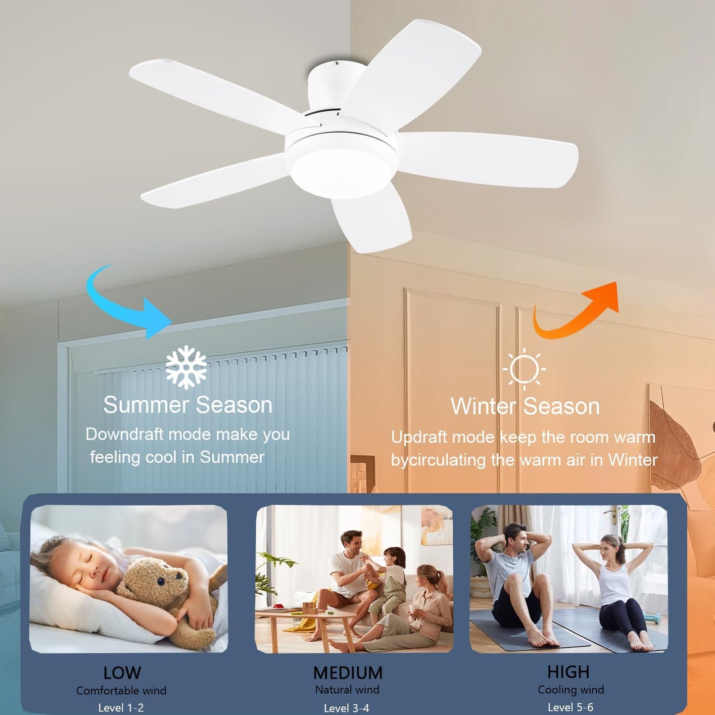 Ceiling Fan SY56