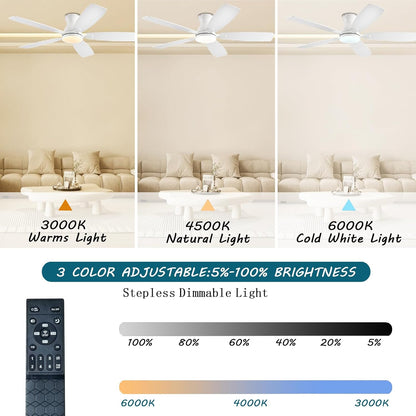 Ceiling Fan JL-66