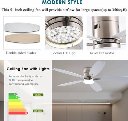 Ceiling Fan SY-81