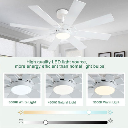 Ceiling Fan SY63