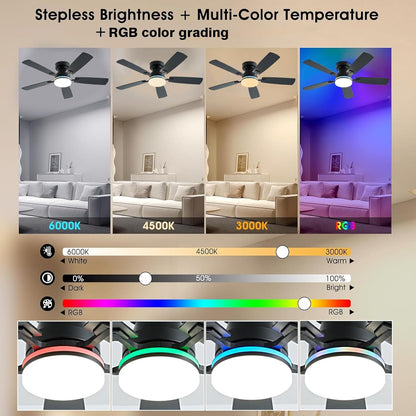 Ceiling Fan SY-62