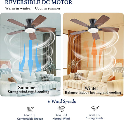 Ceiling Fan JL-66