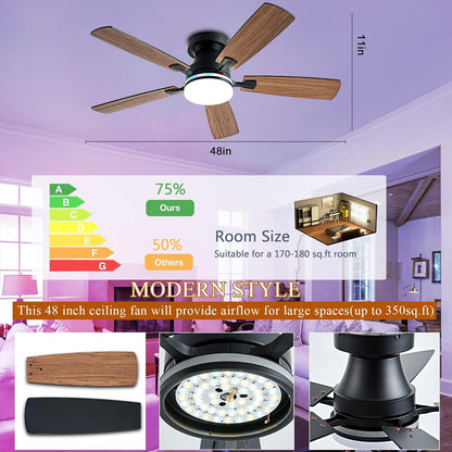Ceiling Fan SY-62