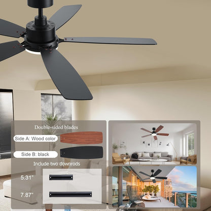 Ceiling Fan SY54