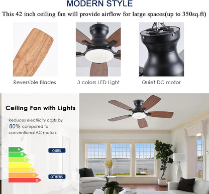 Ceiling Fan JL-66