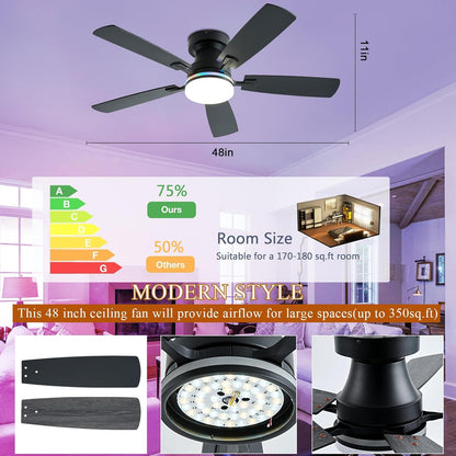 Ceiling Fan SY-62