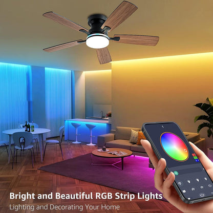 Ceiling Fan SY-62
